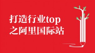 打造行业top之阿里国际站