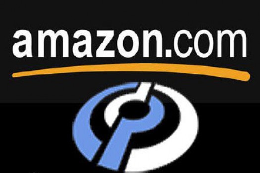 亚马逊运营专员